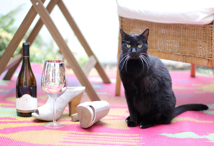Black three-legged cat.