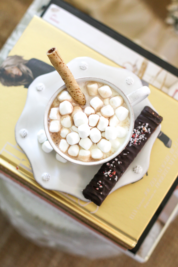 the best hot chocolate recipe