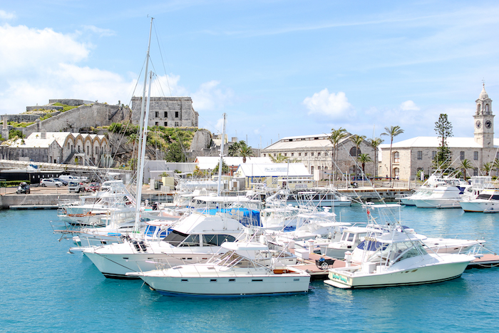 docked boats