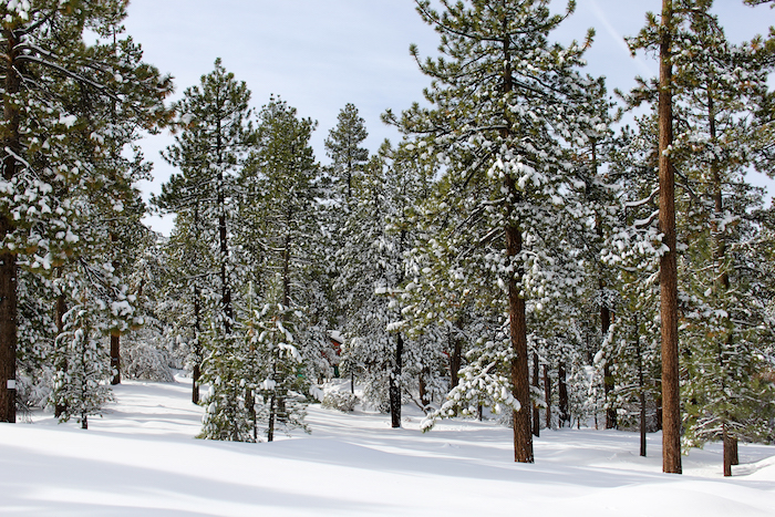 big bear california