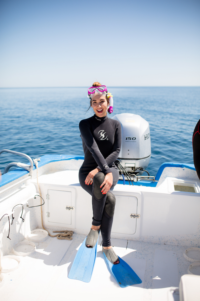 snorkeling in mexico