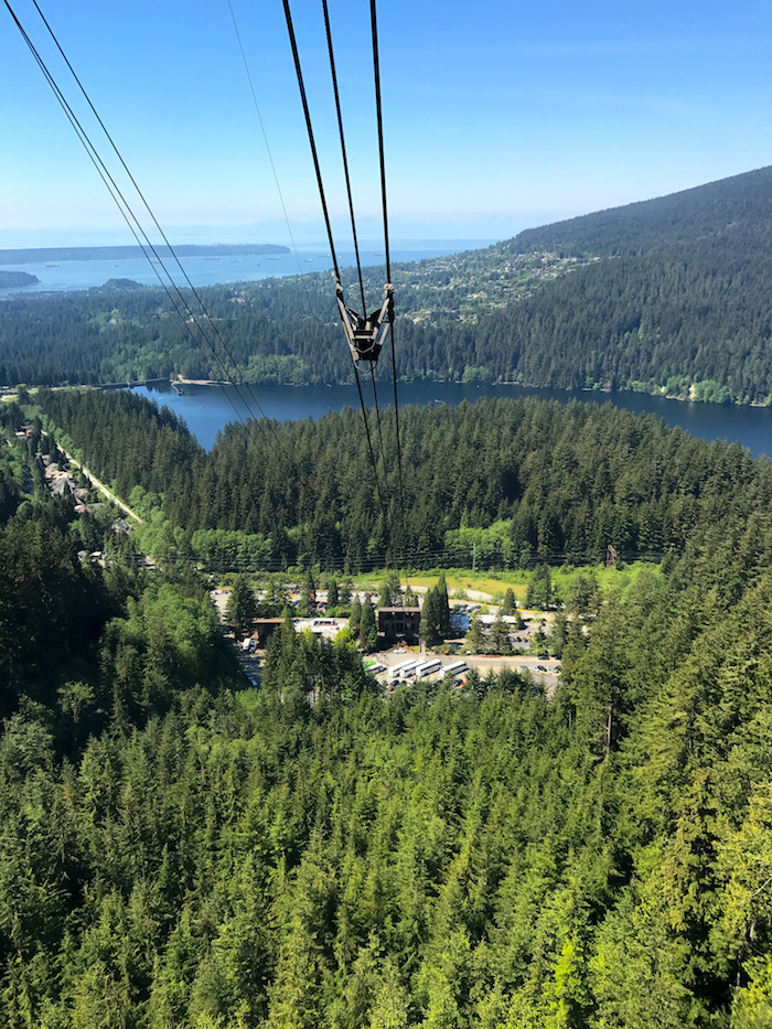 top of grouse mountain