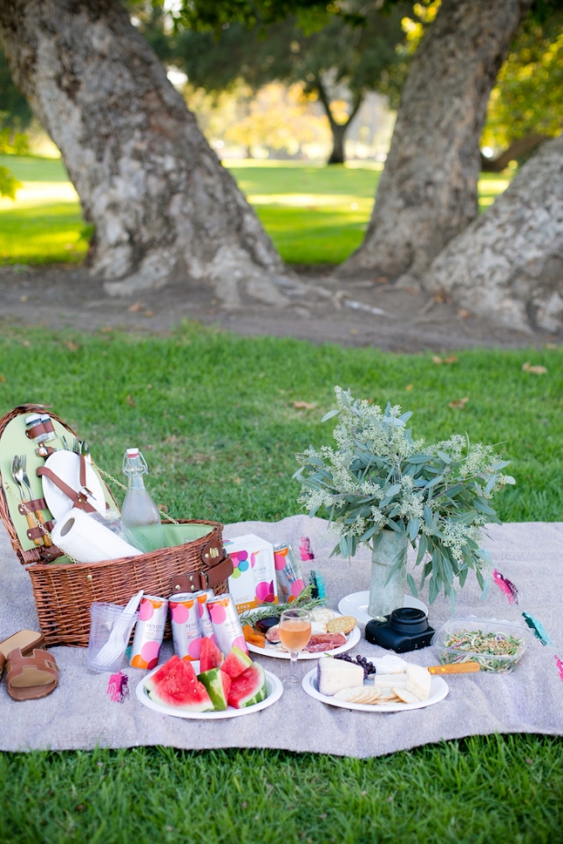 how to prepare perfect picnic