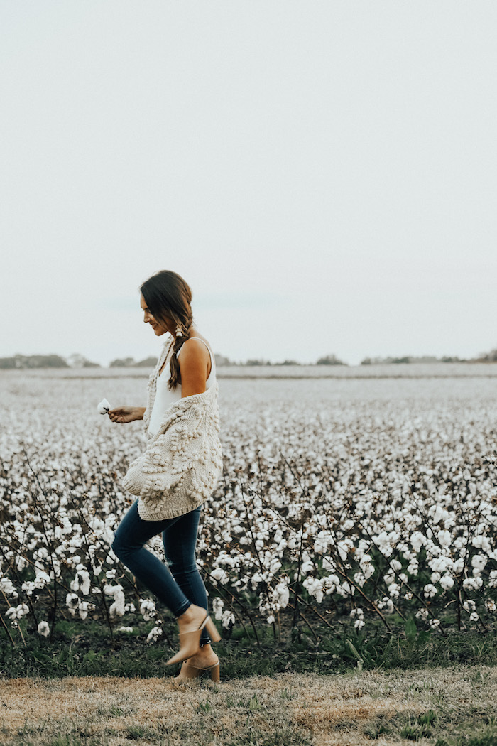 cotton field