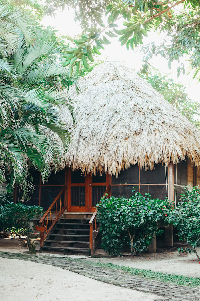 turtle inn belize