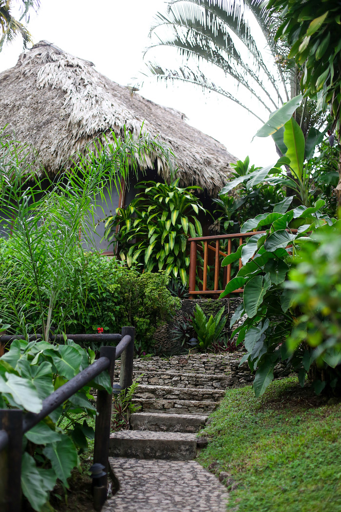 hotel in the jungle