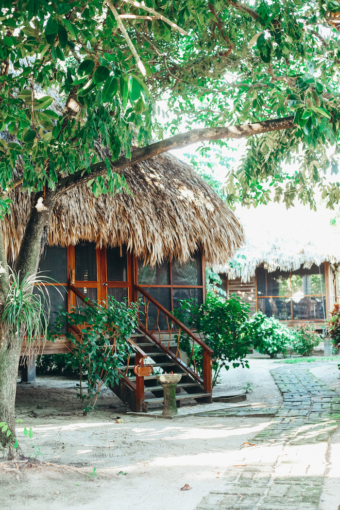 turtle inn belize