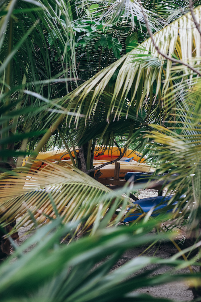 kayaking in belize