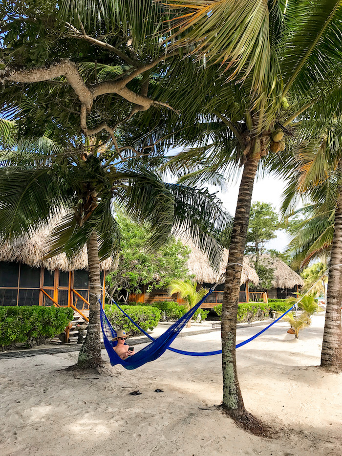 hammocks on the beach