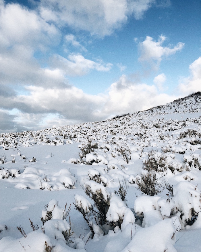 snow covered field