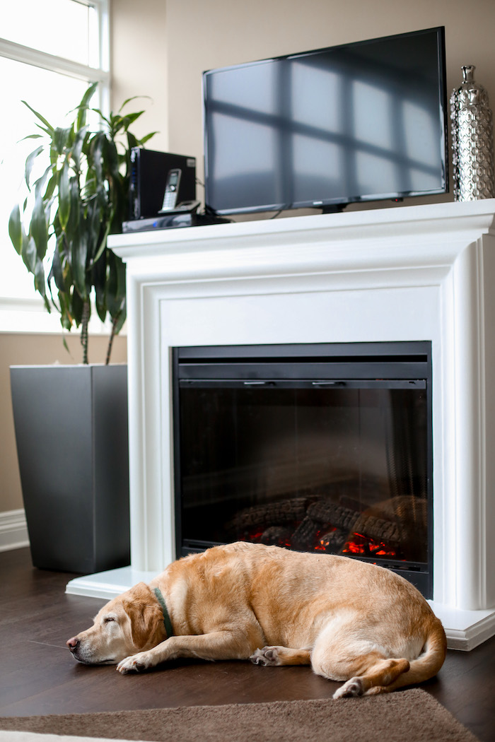 dog sleeping by fireplace