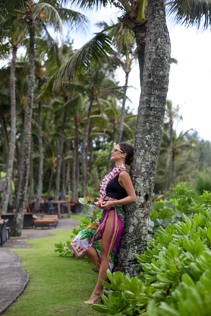 ritz carlton kapalua beach