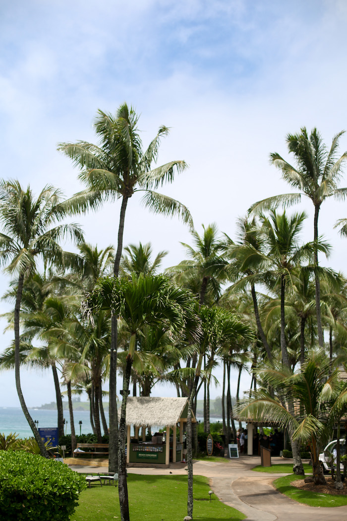 ritz carlton kapalua burger shack