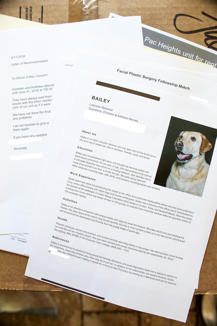 pet resume