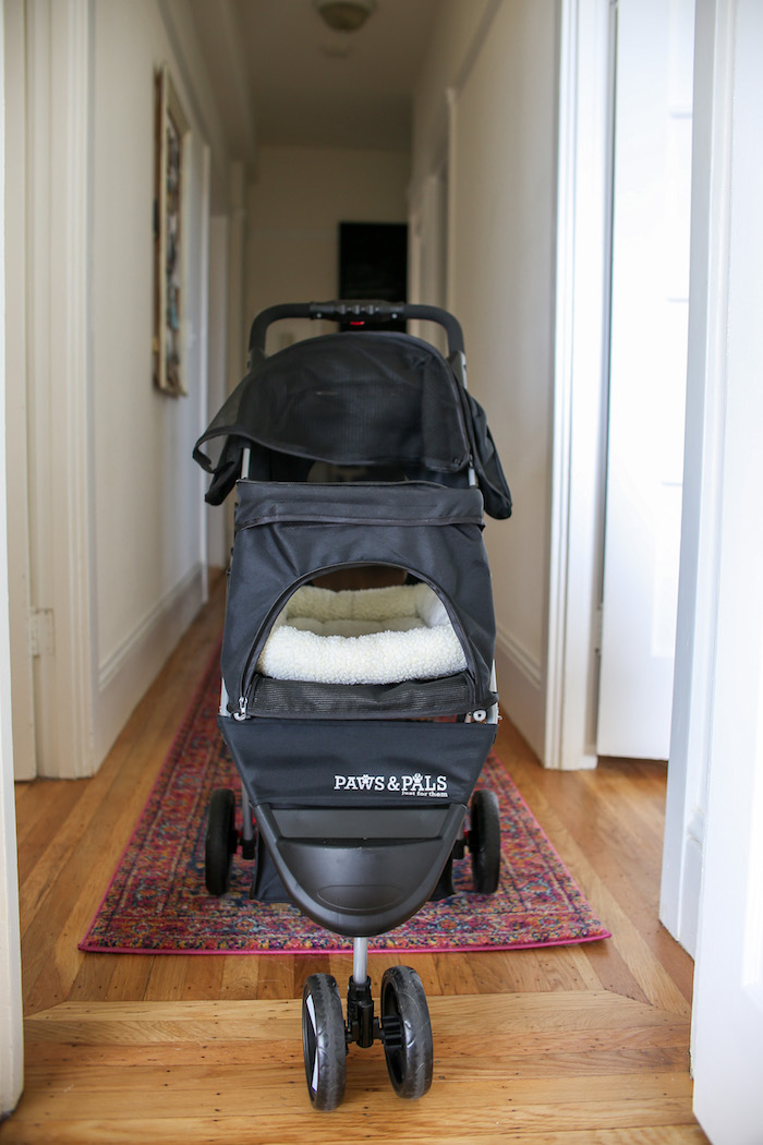 cat stroller