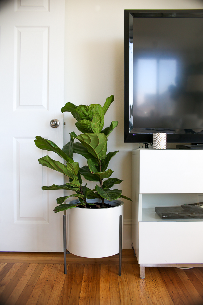 white planter on black stand