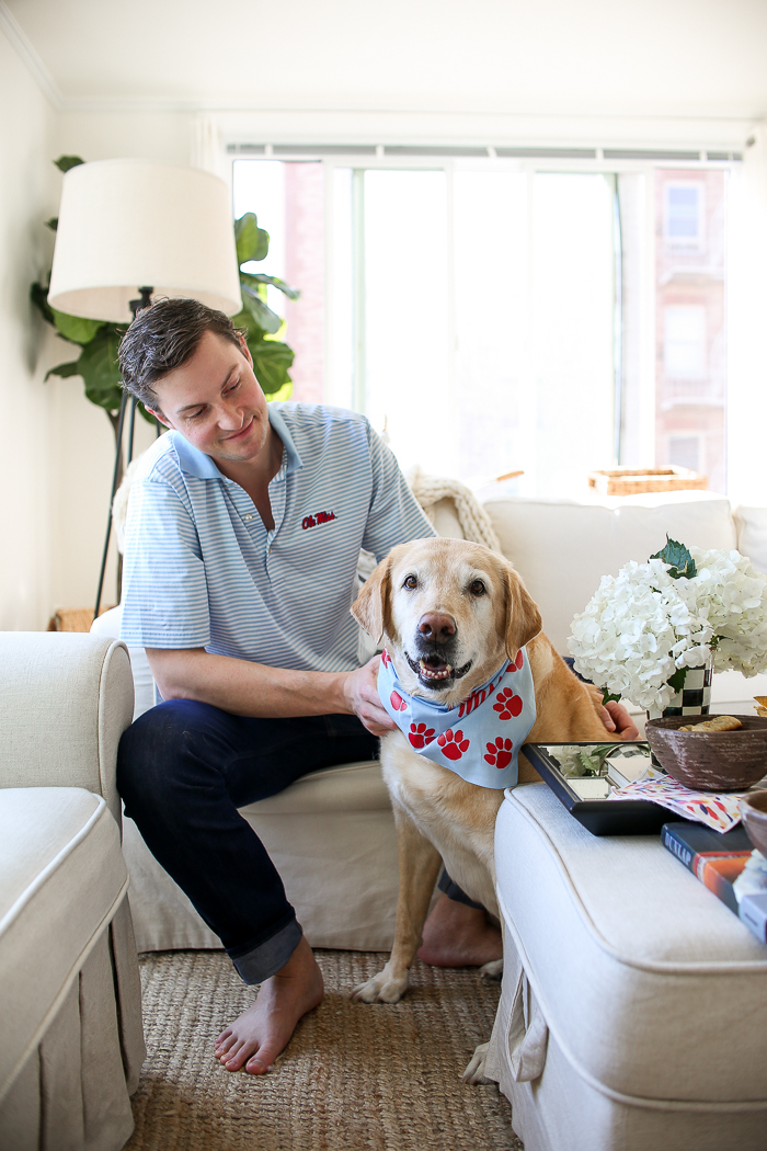 blue and red dog bandana