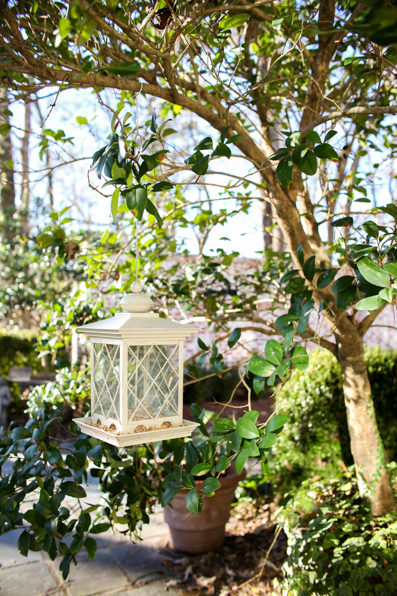 hanging birdfeeder