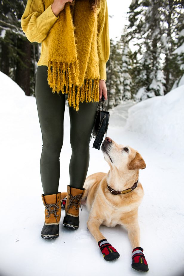 doggy snow boots