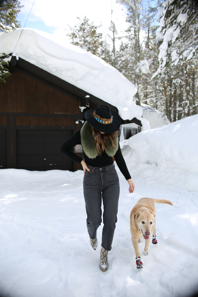 green fur collar