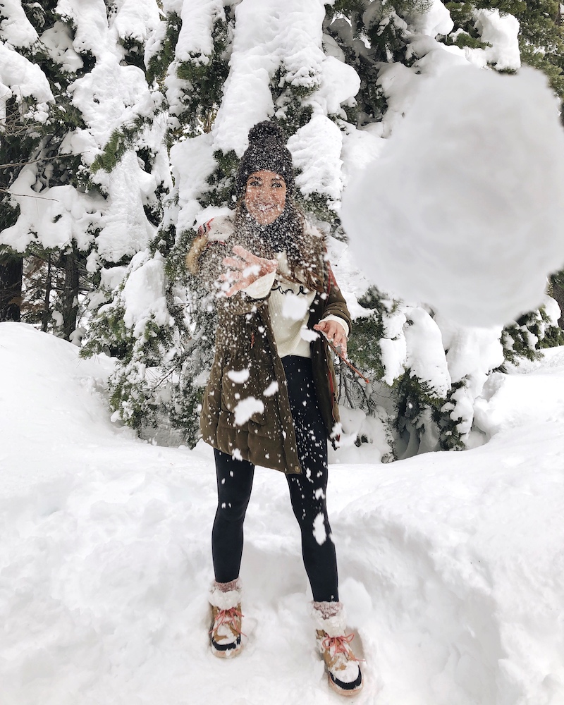 snowball fight