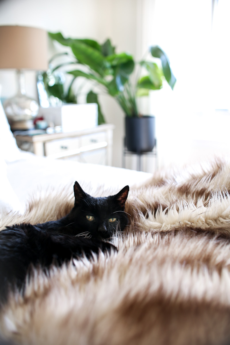 faux fur blanket