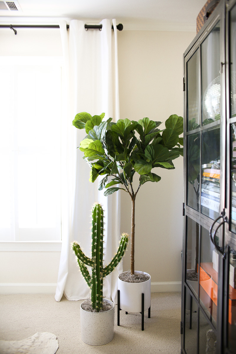 5 foot fiddle leaf fig