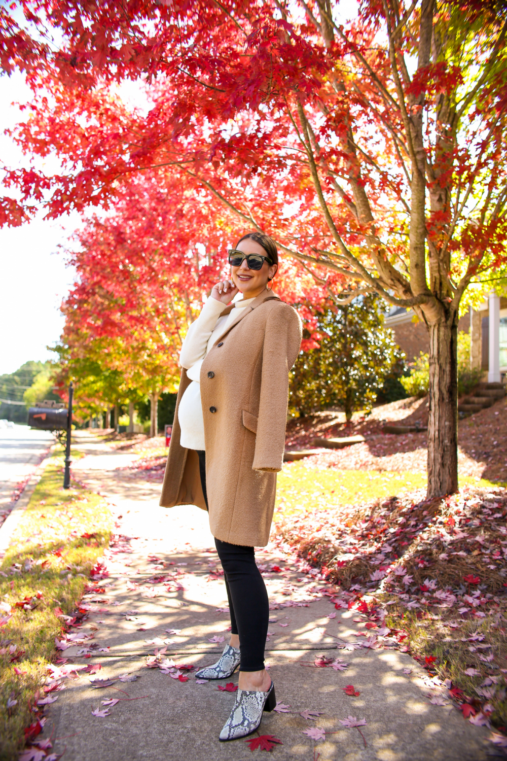 Ann taylor 2025 camel coat