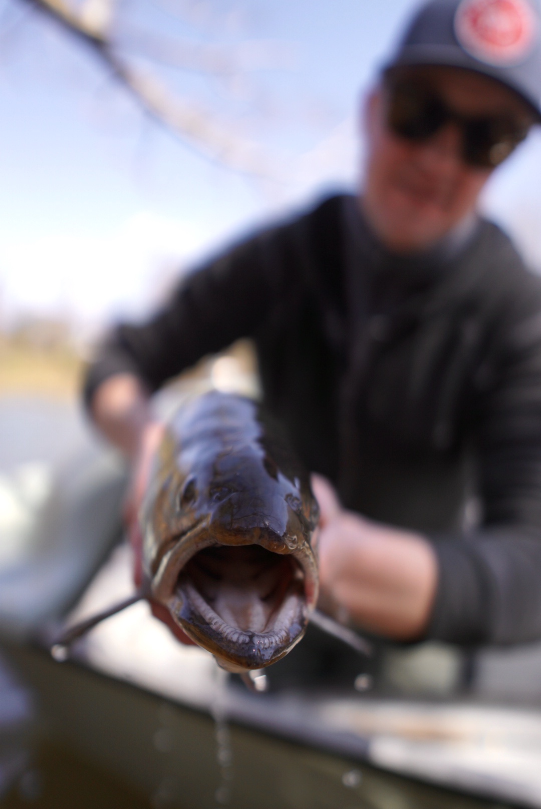 north carolina fishing