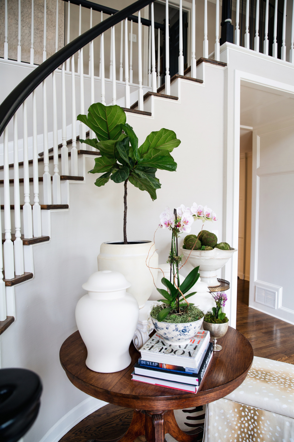 small fiddle leaf fig tree