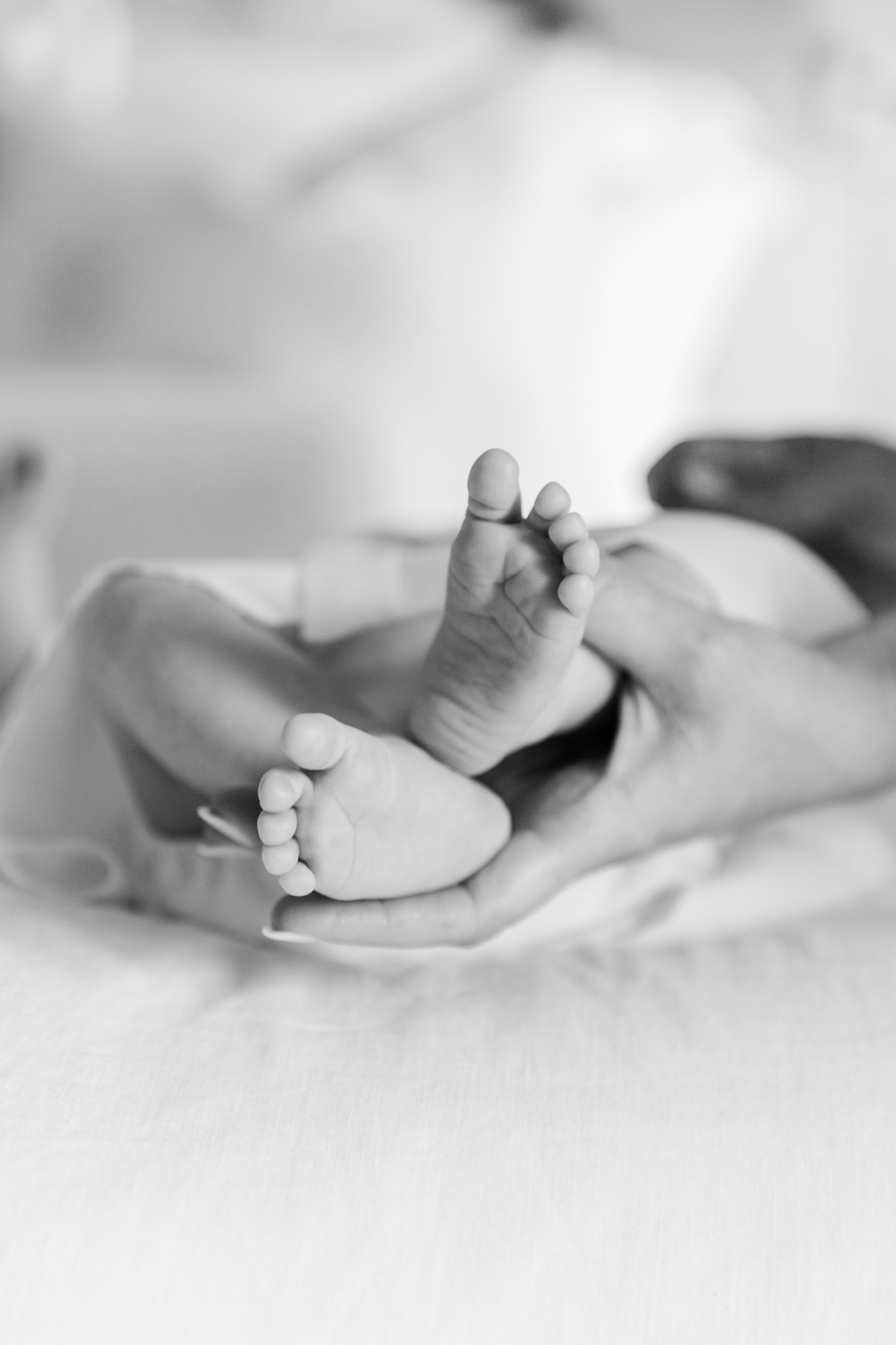 newborn feet