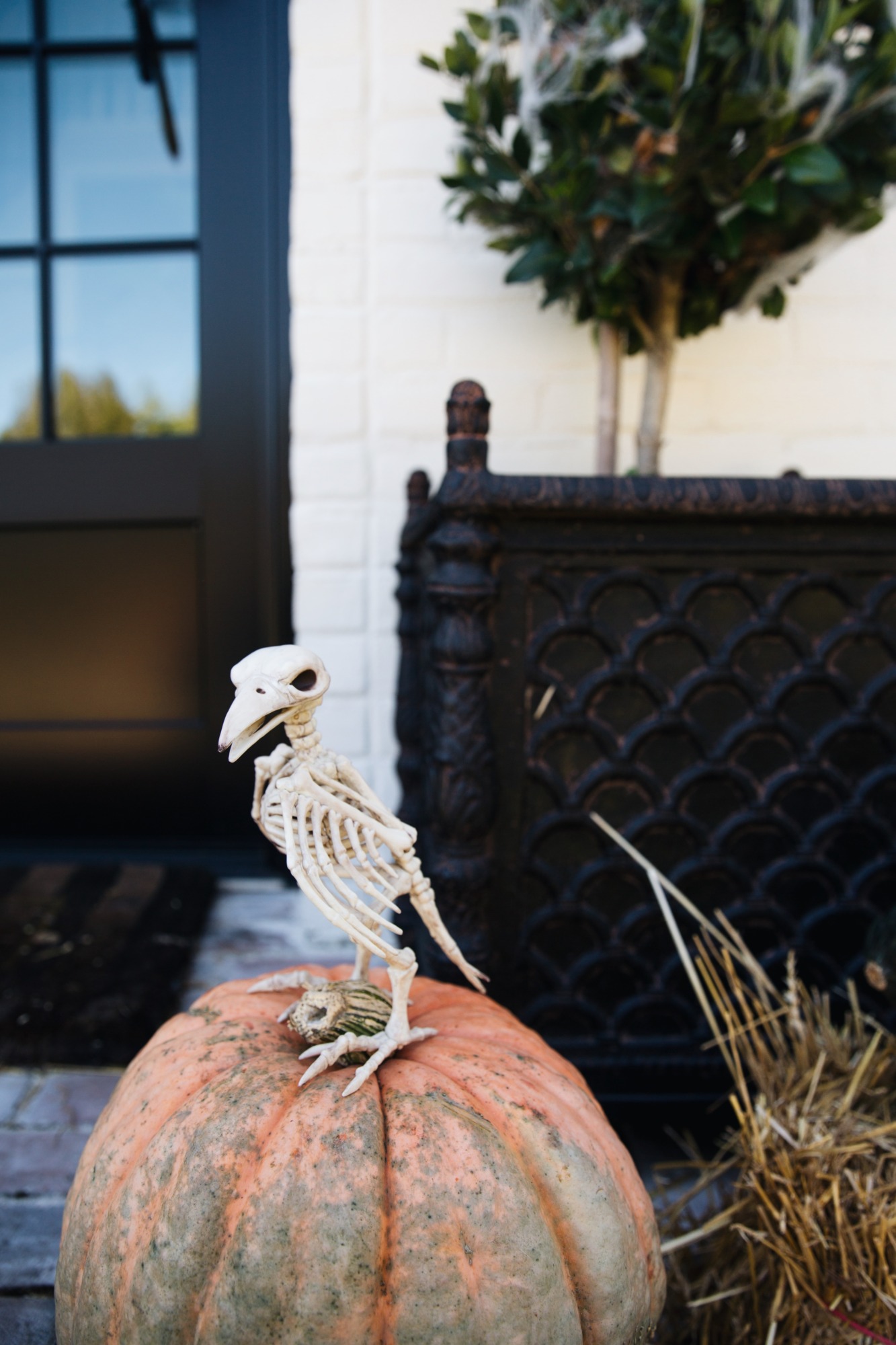 decorative bird skeleton
