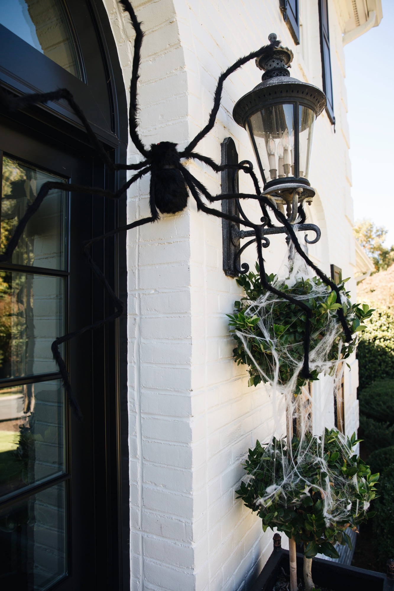 faux spider web