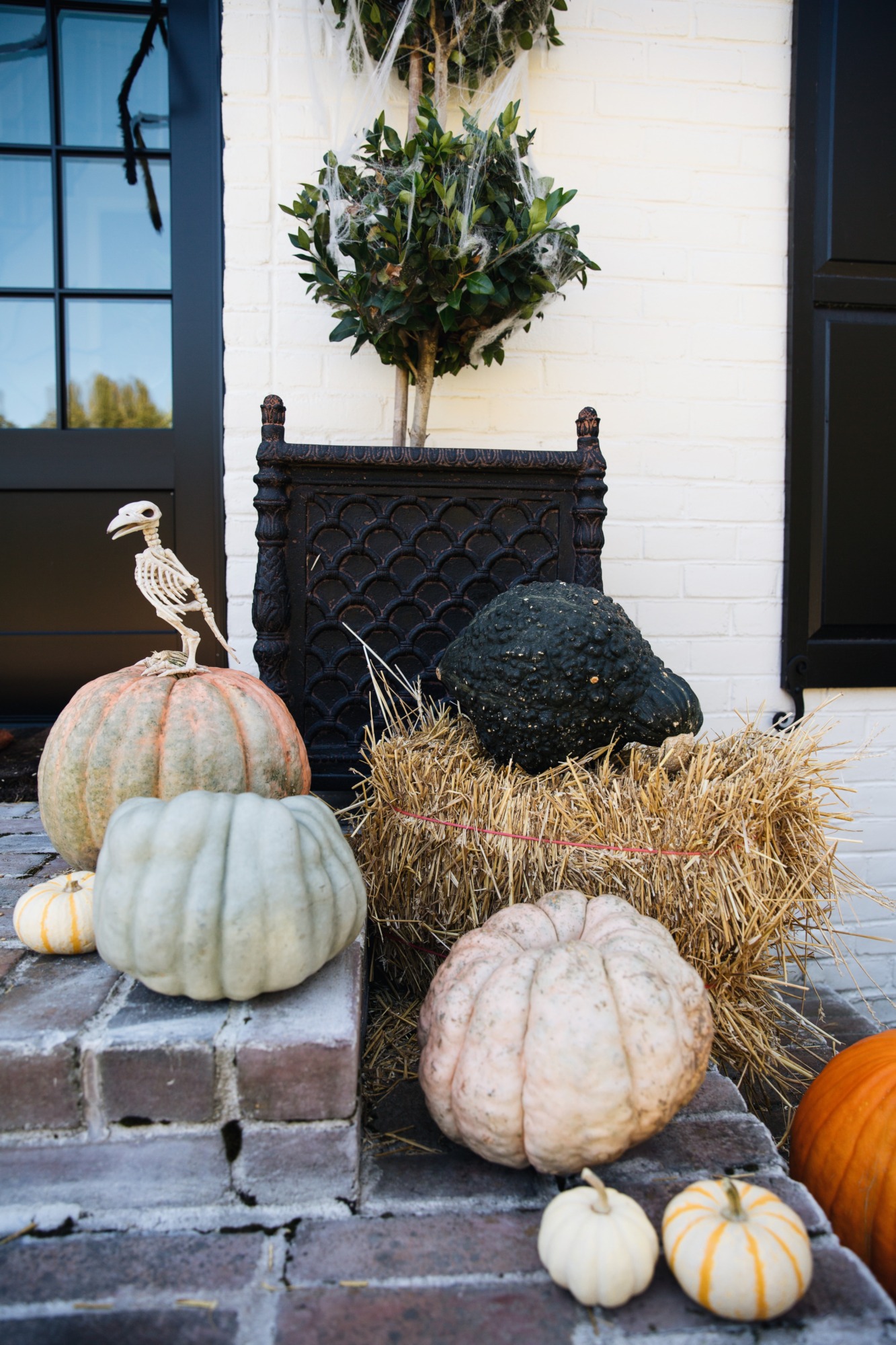 cinderella pumpkins