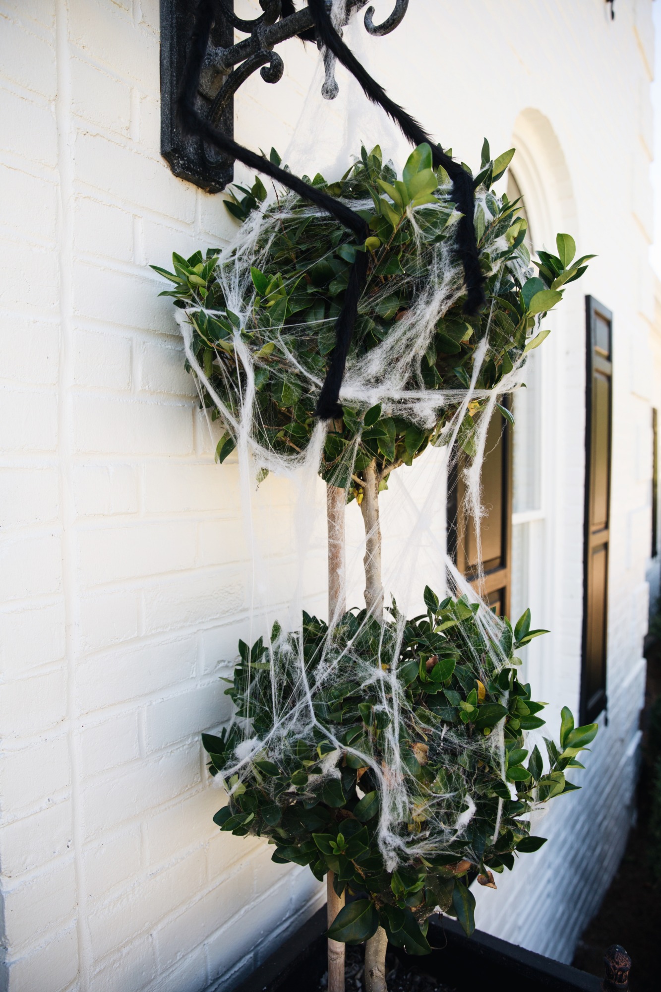 front door topiaries