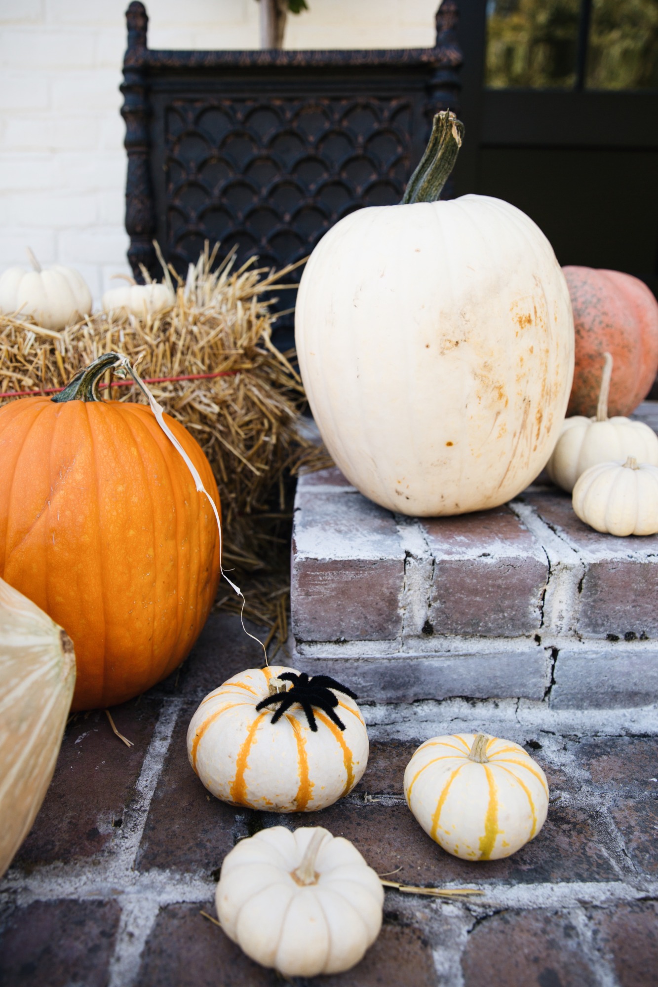 small white pumpkin