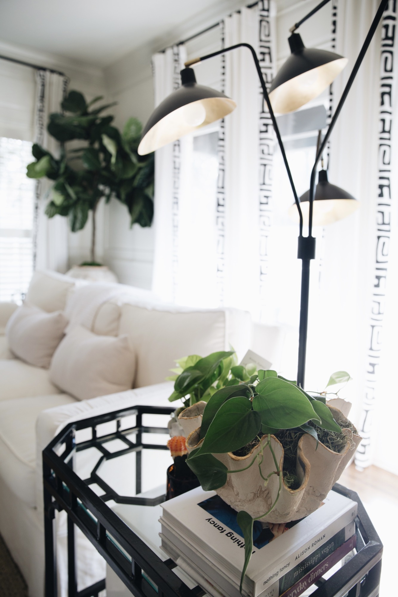 philodendron