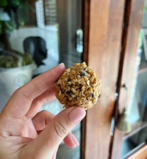 protein ball recipe