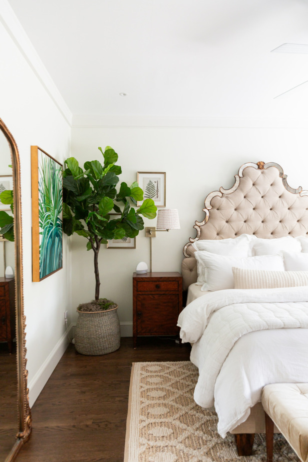 faux fiddle leaf fig tree