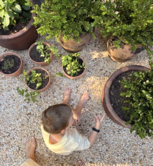 pea gravel garden